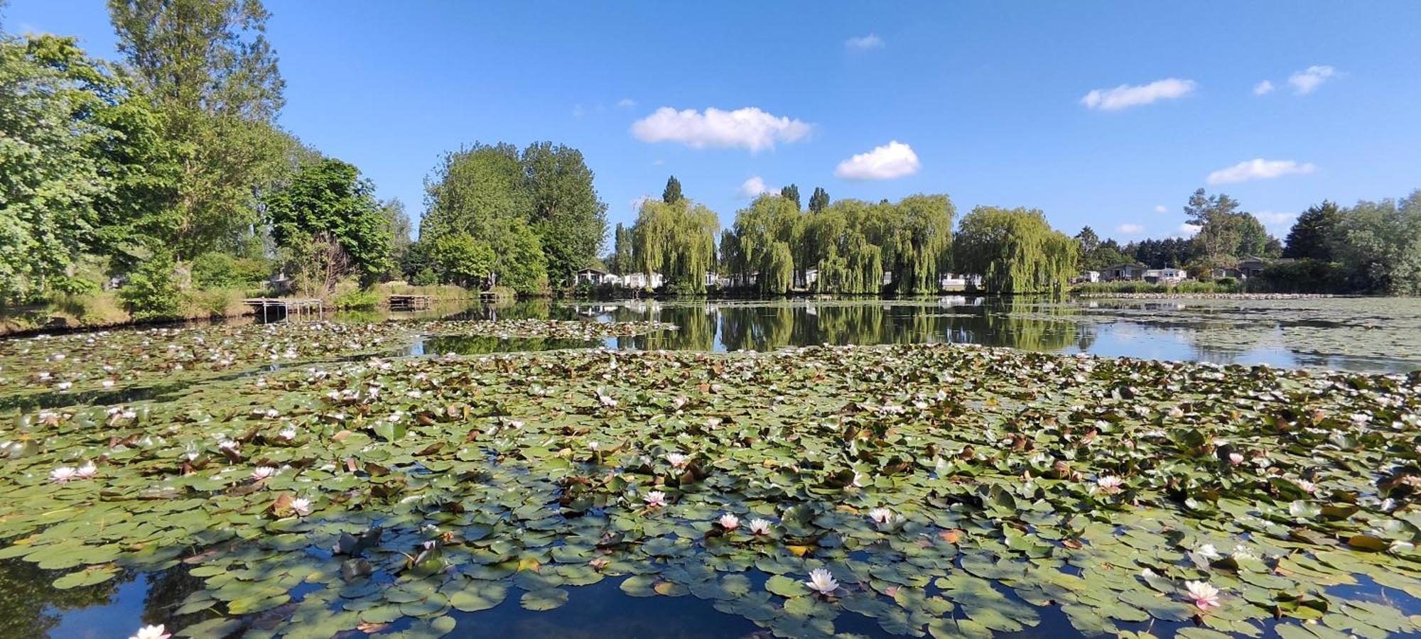 Ferienwohnung Billing Aquadrome Northampton, Royale Poplar Km12 Exterior foto